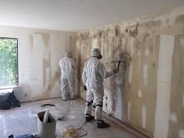 Mold Documentation for Insurance Claims in Richton, MS